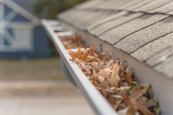 Leaf Barrier Installation in Hudson